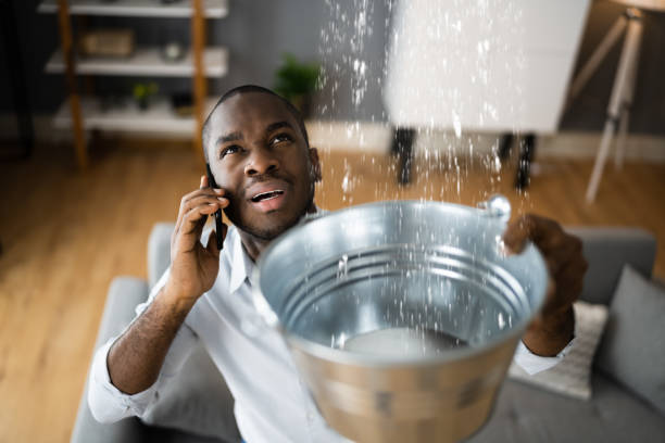 Best Water damage restoration near me  in Elkland, PA