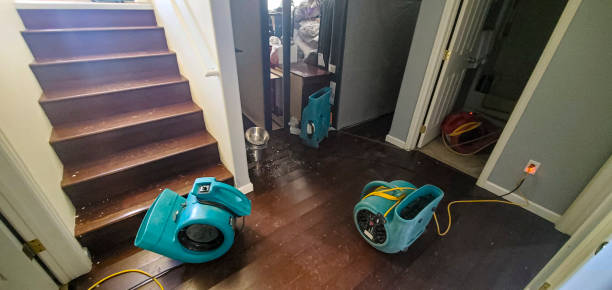 Best Water damage restoration near me  in Elkland, PA
