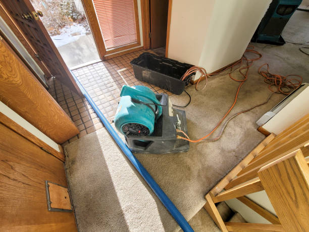 Best Sewage cleanup and water damage restoration  in Elkland, PA