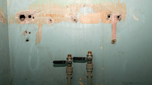 Best Fire Damage Restoration  in Elkland, PA